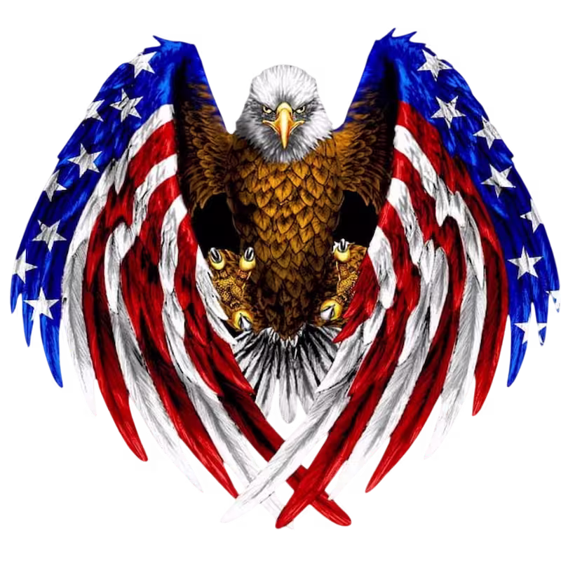 Bald eagle American flag patch artwork with gold beak and talons, original design before embroidery digitizing